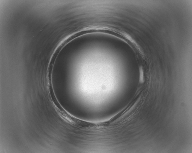 X0000053071372200507251448