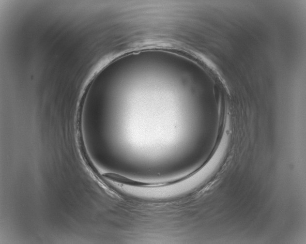 X0000053071373200507251448