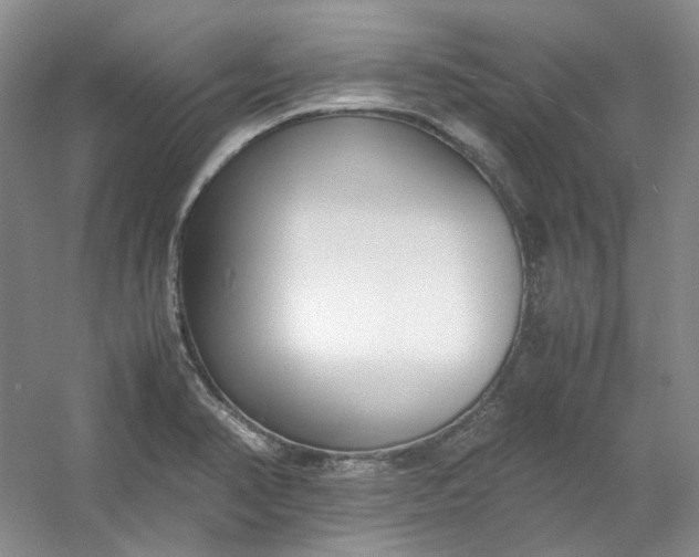 X0000053071374200507251448