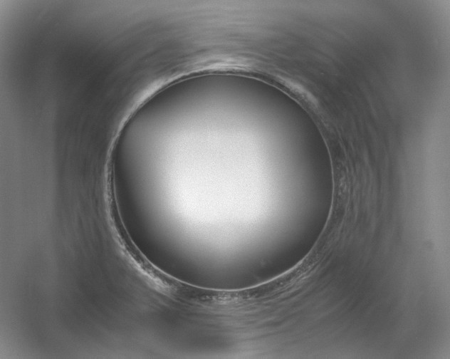 X0000053071375200507251448