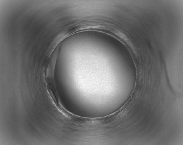 X0000053071377200507251448