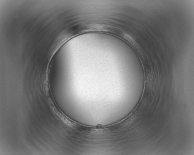 X0000053071378200507251448