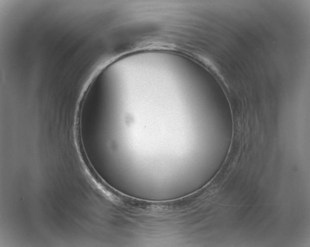 X0000053071379200507251448