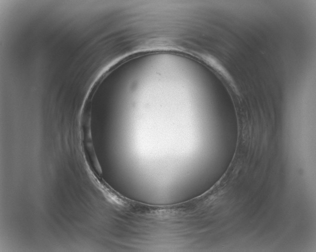 X0000053071380200507251448