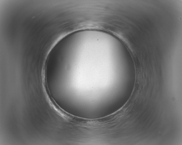 X0000053071383200507251448