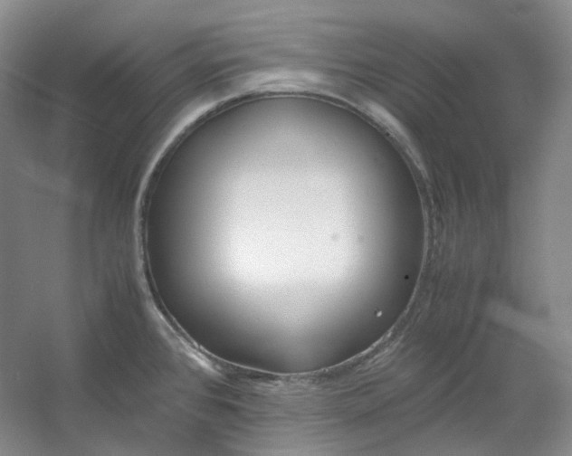 X0000053071384200507251448