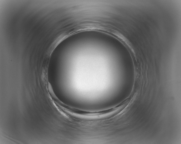 X0000053071385200507251448