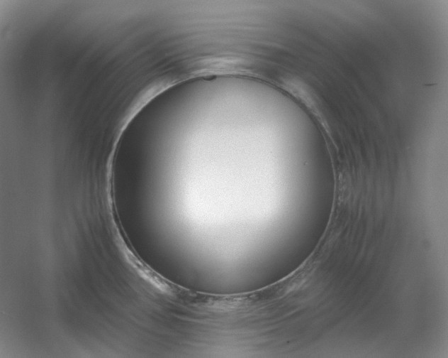 X0000053071386200507251448