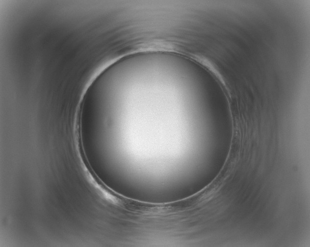 X0000053071387200507251448