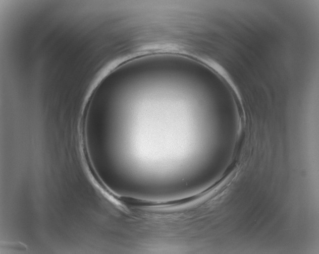 X0000053071389200507251448