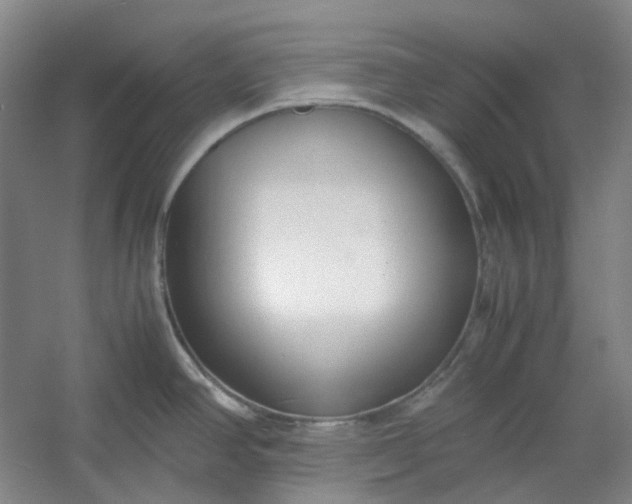 X0000053071390200507251448