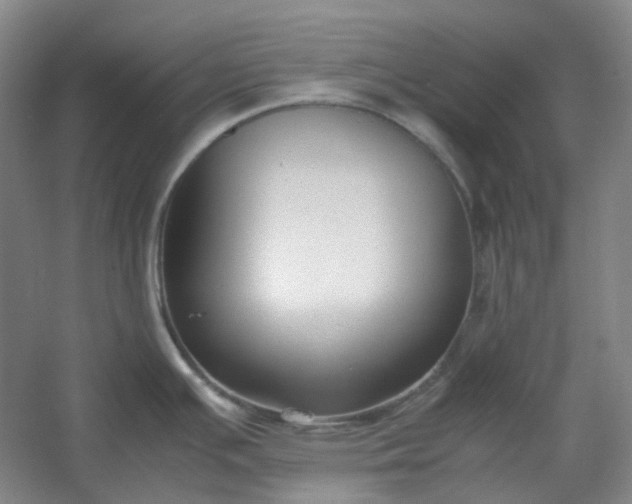 X0000053071391200507251448