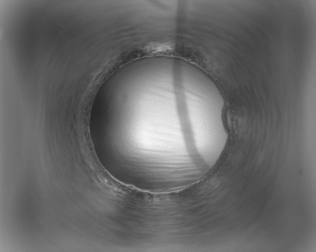 X0000053071393200507251447