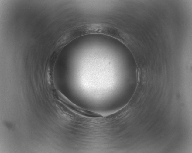 X0000053071394200507251447