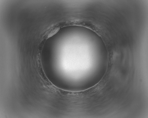 X0000053071397200507251447