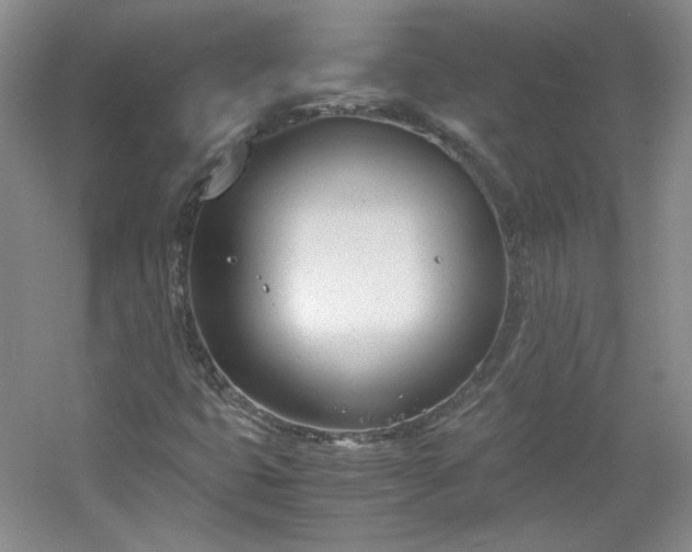 X0000053071399200507251447