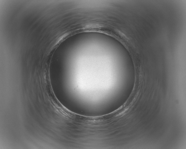 X0000053071401200507251447