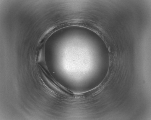 X0000053071402200507251447