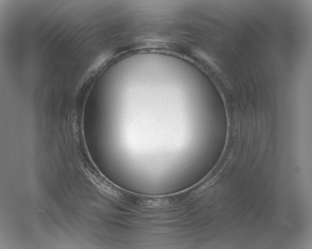 X0000053071403200507251447