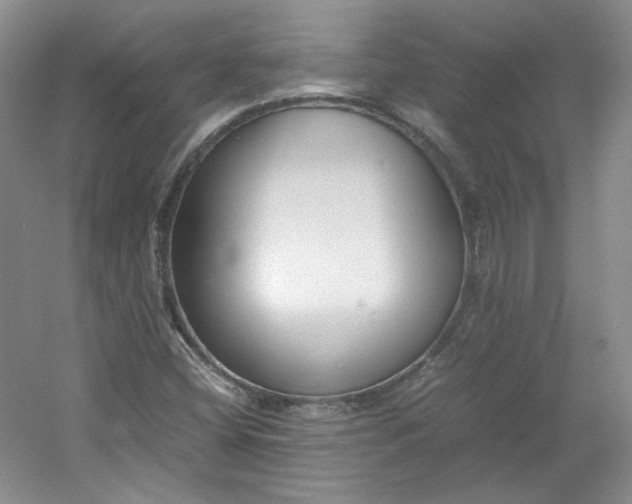 X0000053071404200507251447