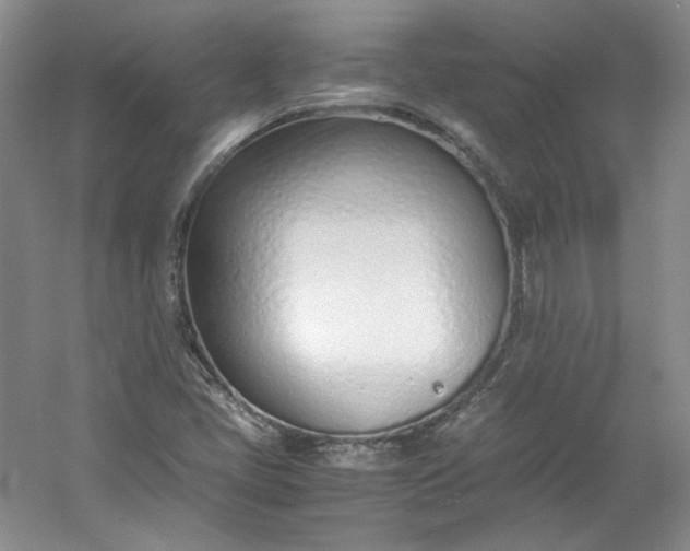 X0000053071405200507251447