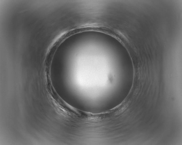 X0000053071406200507251447