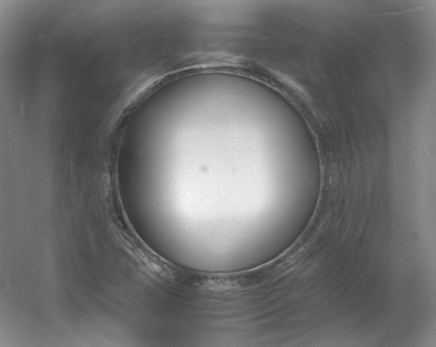 X0000053071407200507251447