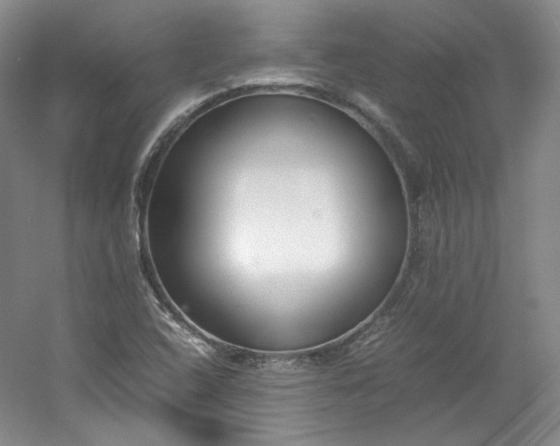 X0000053071408200507251447