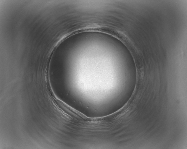 X0000053071409200507251447