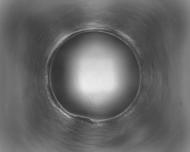 X0000053071415200507251447