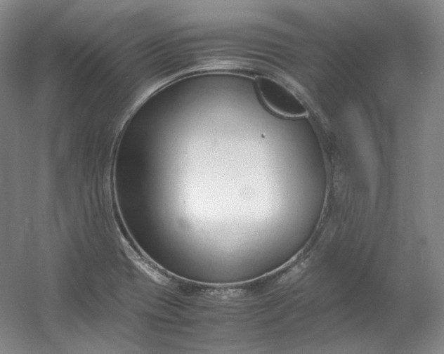 X0000053071417200507251447