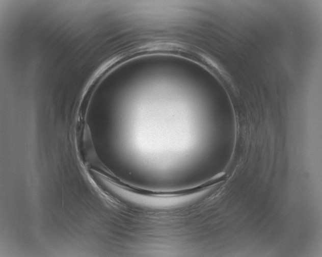 X0000053071418200507251447