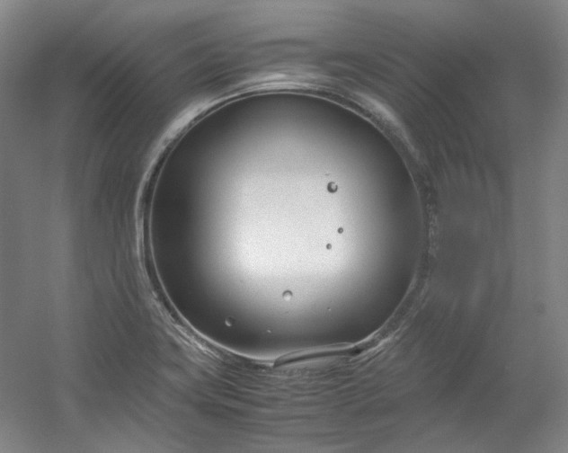 X0000053071419200507251448