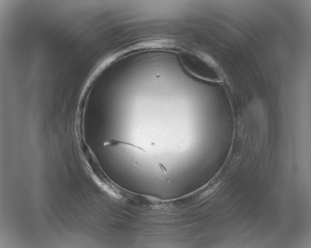 X0000053071421200507251448