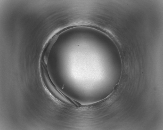 X0000053071422200507251448