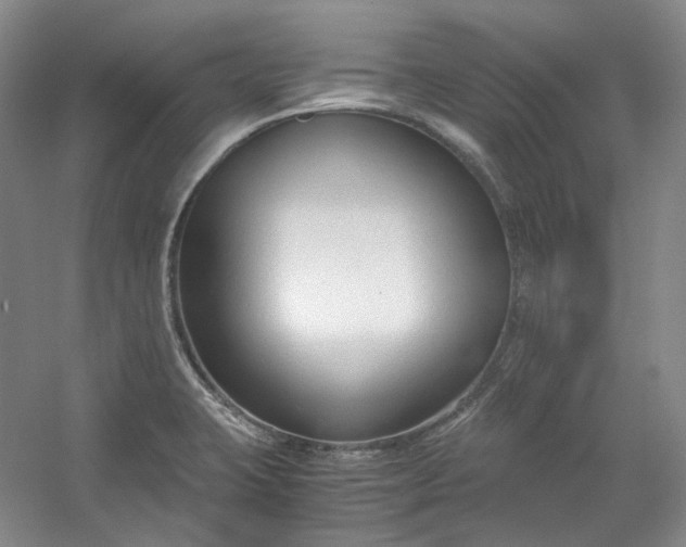 X0000053071423200507251448