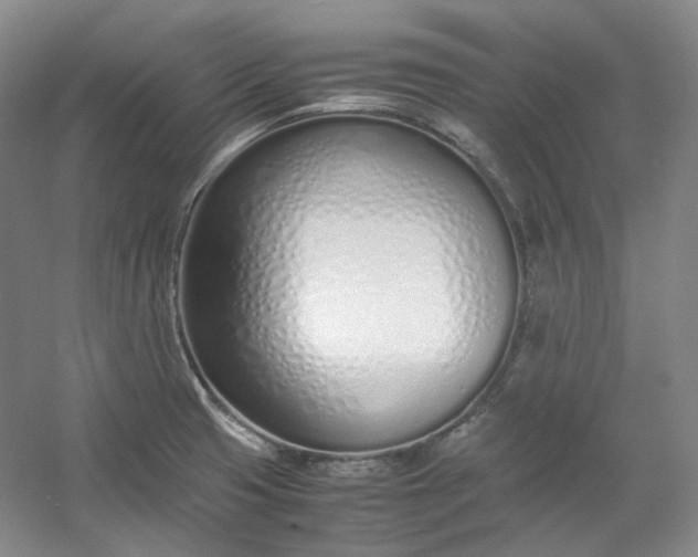 X0000053071425200507251448