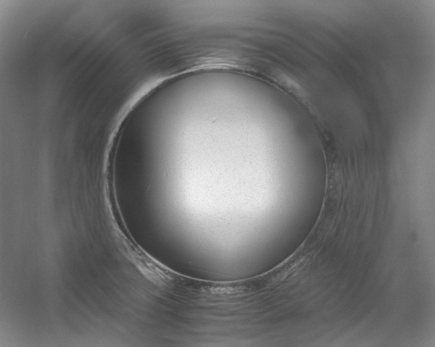 X0000053071427200507251448