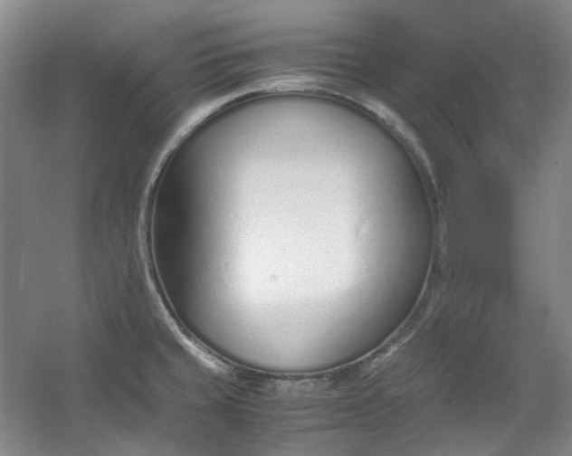 X0000053071429200507251448