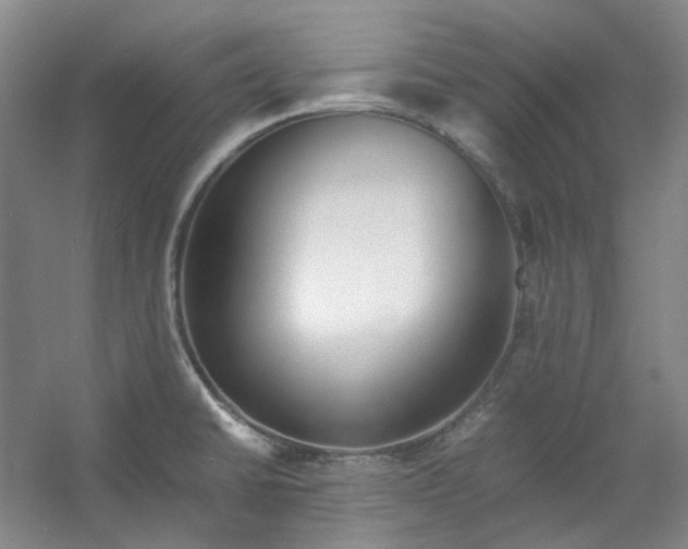 X0000053071430200507251448