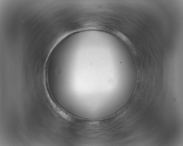 X0000053071431200507251448