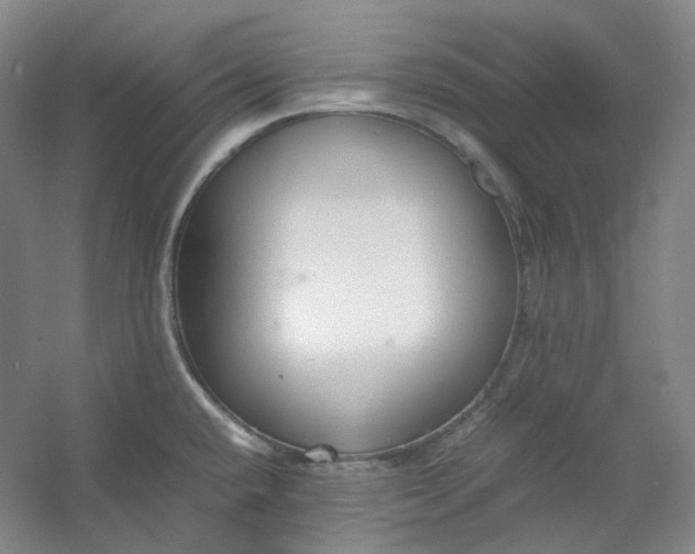 X0000053071432200507251448