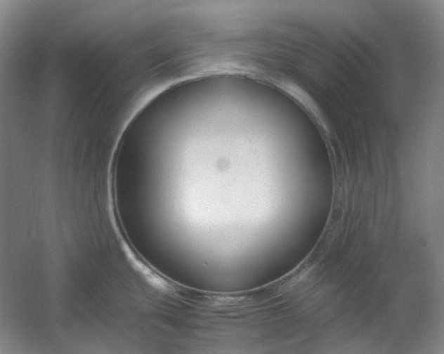 X0000053071439200507251448