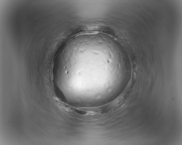 X0000053071441200507251447