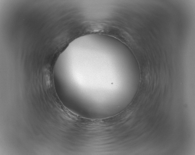 X0000053071442200507251447