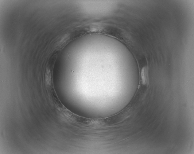 X0000053071443200507251447