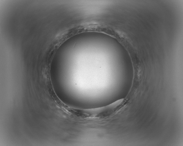 X0000053071445200507251447