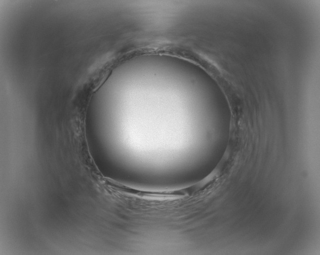 X0000053071447200507251447