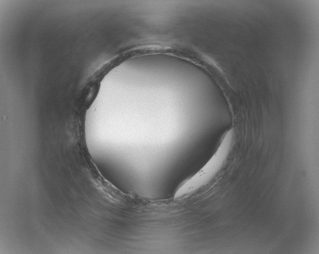 X0000053071448200507251447