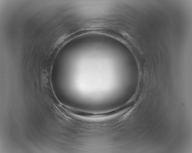 X0000053071449200507251447